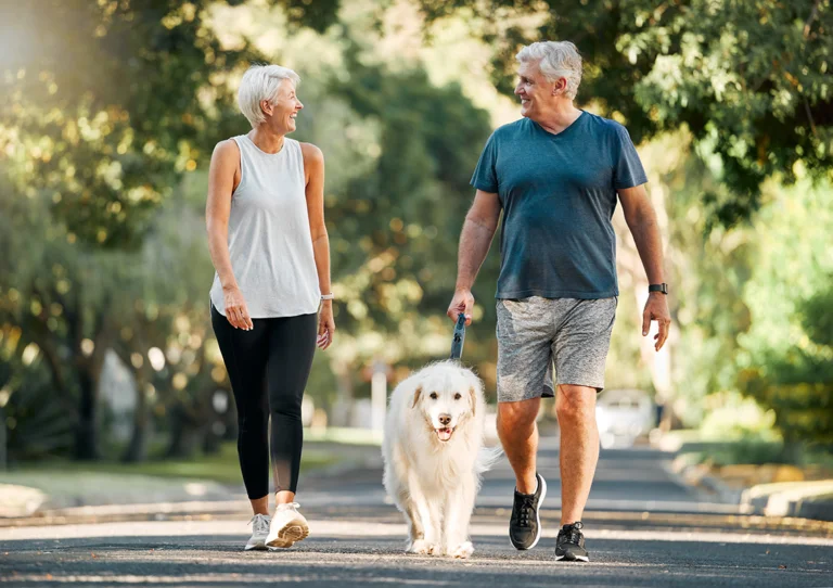 image of a couple walking with their dog for a healthy lifestyle